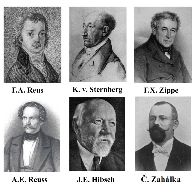 Bohmische Granate Abbildung 5